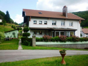 Gîte chaleureux à La Bresse avec terrasse, barbecue et proche des pistes de ski - FR-1-589-189